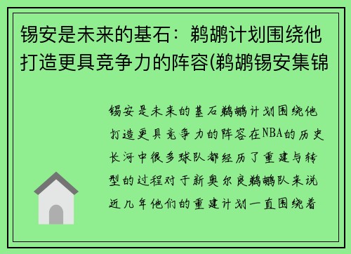 锡安是未来的基石：鹈鹕计划围绕他打造更具竞争力的阵容(鹈鹕锡安集锦)