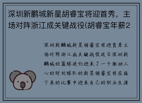 深圳新鹏城新星胡睿宝将迎首秀，主场对阵浙江成关键战役(胡睿宝年薪2700万)